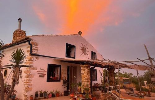 Vilanova d'Alcolea House | WILDSPIRIT Room at WILDSPIRIT Eco Cultural Farm
