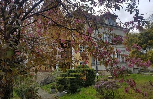 Makow Podhalanski Bed & Breakfast | Willa Marysin