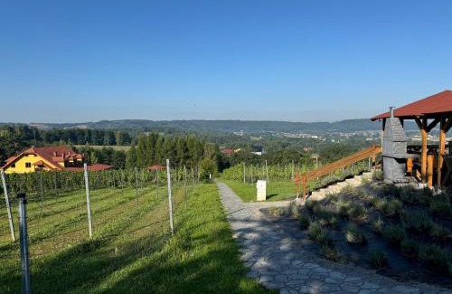 Czudec Apartment | Willa Winnica Maria Anna