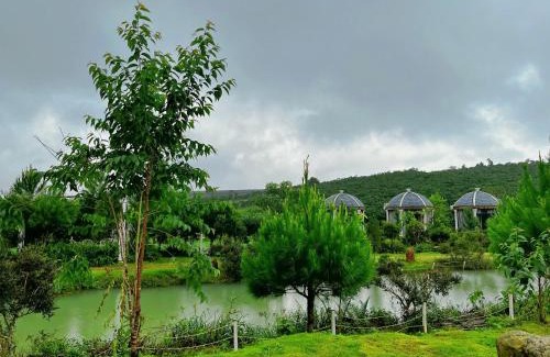 Bao Loc House | WINDHILL HOMESTAY BẢO LỘC - Căn Bungalow Lux