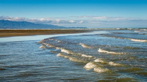 Tasman Apartment | Windhover Suites