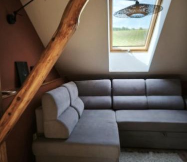 Ryglice House | Winnica Kosmos