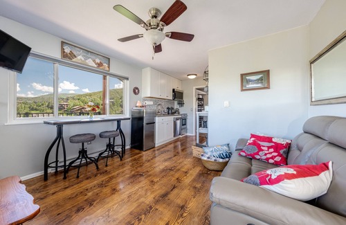 Steamboat Springs Condo | Winsome Mountain Condo with Spectacular Views