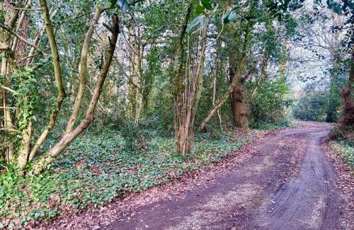 West Ashling House | Wintons Farmhouse