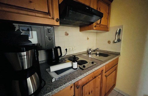 Enderndorf am See Apartment | With dog! - Apartment with garden view