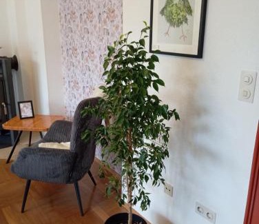 Lank-Latum Apartment | Wohnung im Grünen in Messenähe