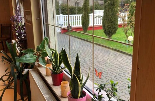 Erkner Apartment | Wohnung in Wald- und Seenähe