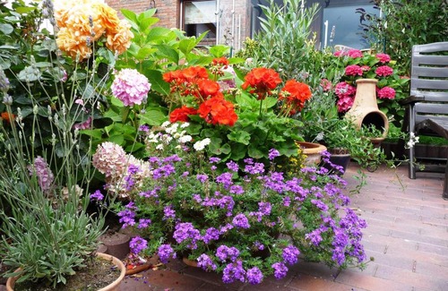 Reetzow House | Wolf Haus Rotmilan