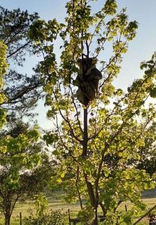 Lower Boro House | Wolf Ridge - Farm Stay