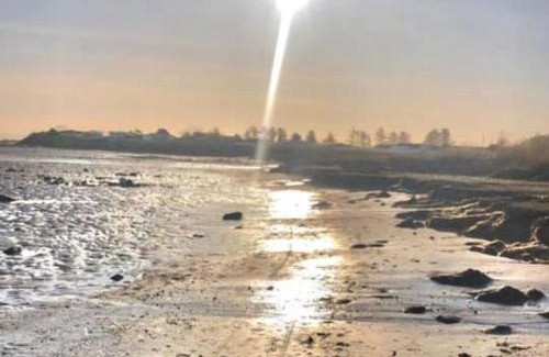 Dumfries House | Woodend