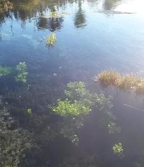 Tata Beach Bed & Breakfast | Woolshed Bed & Breakfast