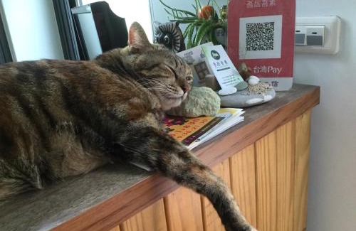 Hualien House | Wuju Wusu B&B