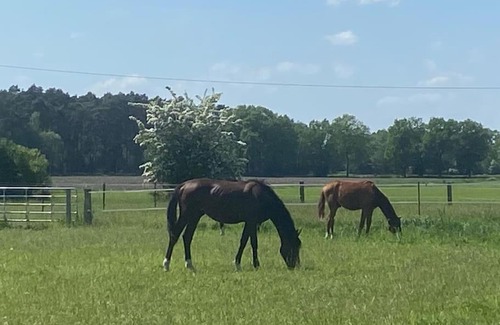 Greven Apartment | Wunderschöne Ferienwohnung auf dem Bauernhof