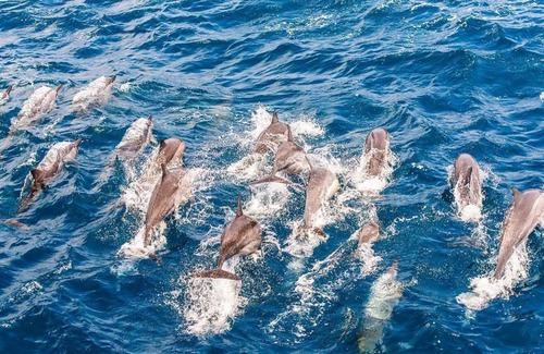 Toucheng Bed & Breakfast | Wushi Port Wharf