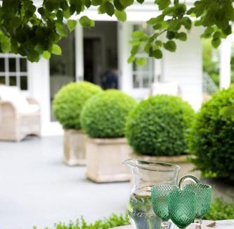 Greytown Bed & Breakfast | Wyett House