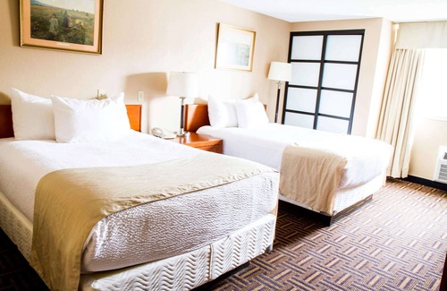 Medicine Hat Hotel | Wyndham Garden Medicine Hat Conference Center