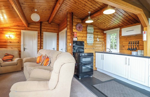Bronaber Cottage | Y BWTHYN PREN, CABIN 209, pet friendly in Trawsfynydd