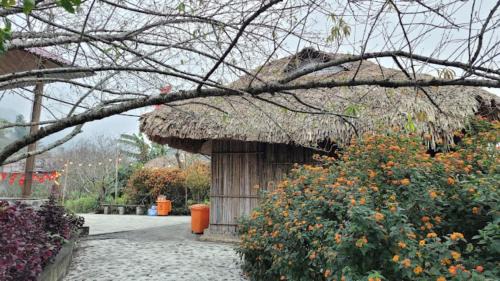 Mai Chau Hotel | Y Sao Homestay