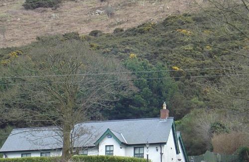 Meigh House | Yewwood Cottage