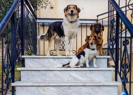 Kakovatos House | YourSpot Project - shared countryhouse - private rooms - West Peloponnese