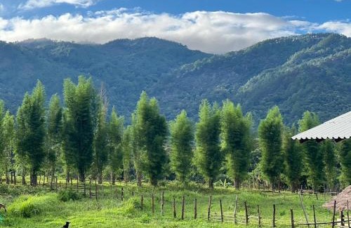 Mae Wang House | zen mountain farmstay