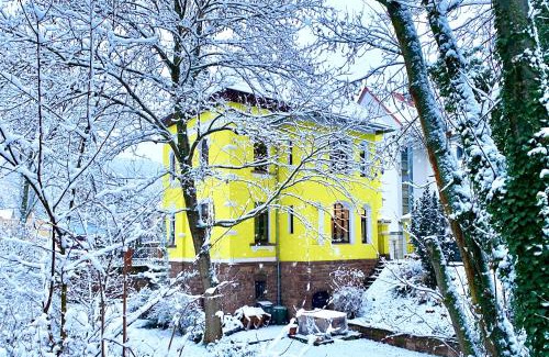 Bad Frankenhausen/Kyffhauser Apartment | Zitronenhaus