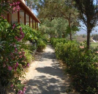 Limnos Apartment | Zorbas Apartments