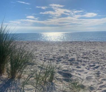 Neuendorf Heide Apartment | Zur Alten Boddenfischerei Ferienwohnung Zander