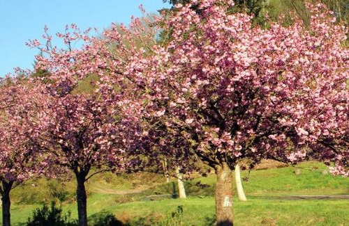 Rumbach House | Zur alten Wagnerei