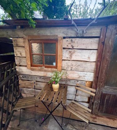 Übernachtung bei den Alpakas im Naturgarten Eigener Schlafsack