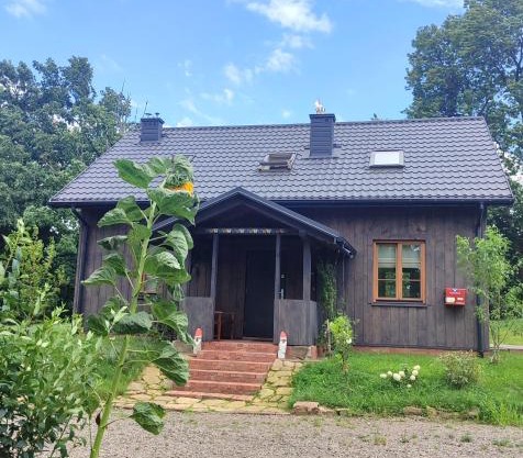 Świętokrzyskie Stodoła Kasztanowa Aleja Radkowice