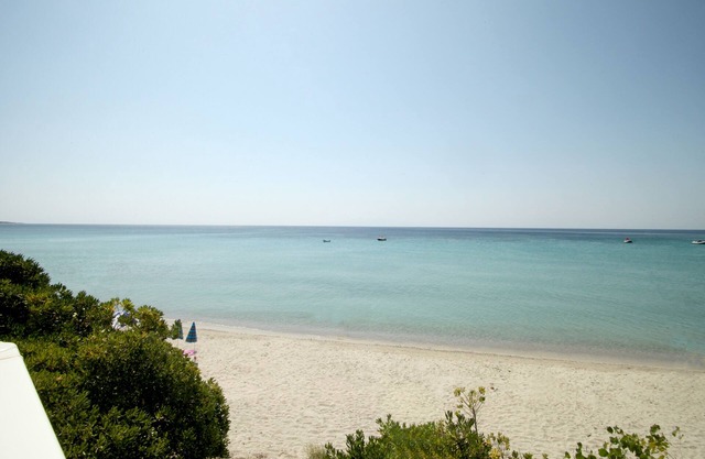 Βυθός Μεζονέτα στην παραλία - Κοράλι