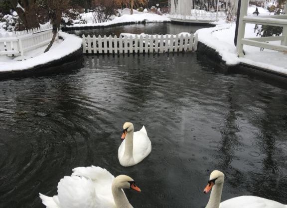 Гостиница Атаманская