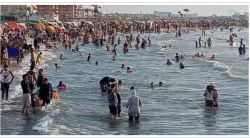 العربية العالمية للسياحة و الرحلات شقق فندقية فاخرة برأس البر