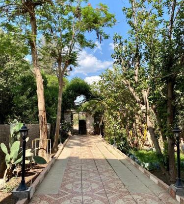 بيت الريف المصرى