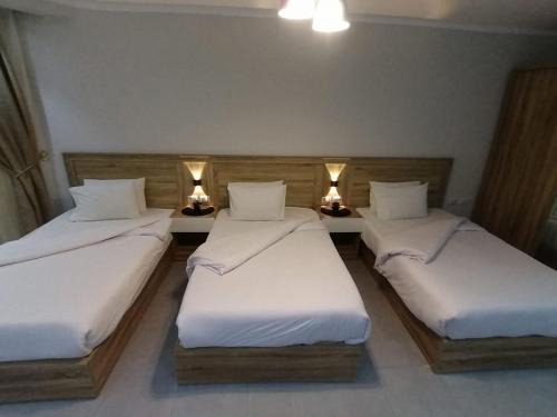 سكانديك ريزورت