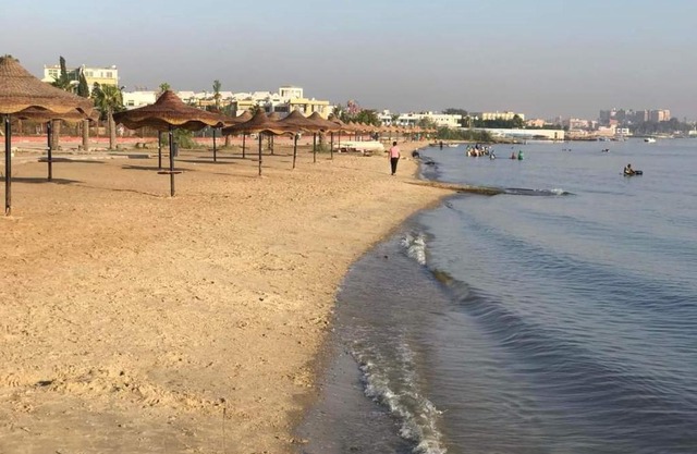 قرية النورس