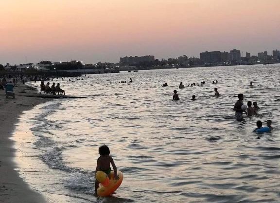 قرية النورس