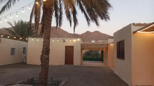 مزرعة نحل العسل