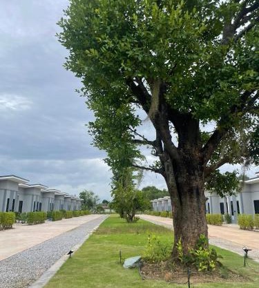 กลางนา รีสอร์ท