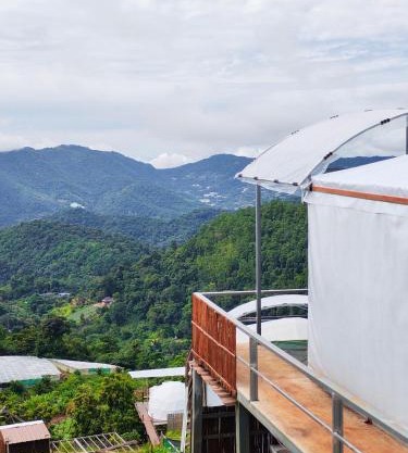 ชูชัยฟาร์มสเตย์ ม่อนแจ่ม