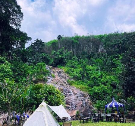 ท่าเเพ ฟอเรสต์ รีสอร์ต