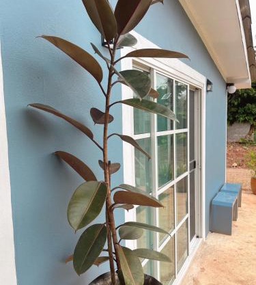 บ้านพอดีโฮมสเตย์ทองผาภูมิ -กาญจนบุรี