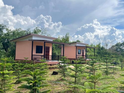 บ้านสวนหมอกเขาค้อ b1