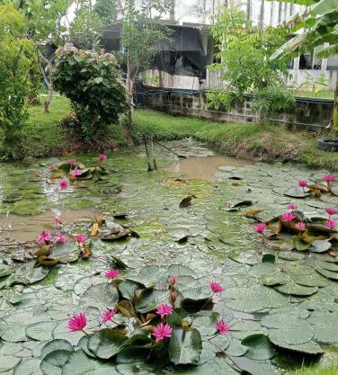 บ้านเพื่อนโฮมสเตย์