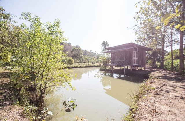 บ้านเพื่อน อยู่ในป่า - Friend's house Homestay Mae Tang