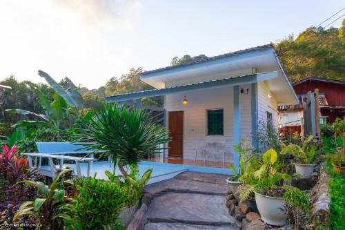 ปางสูงเฮาส์ pangsung house บ้านกลางดอย