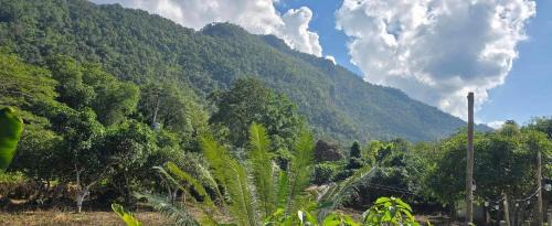 ปิงโค้งเม้าท์เท่นวิว