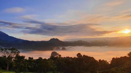 วิช โฮมสเตย์