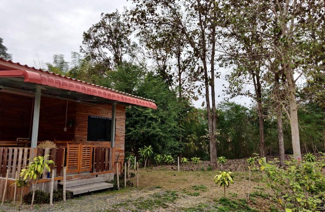 สายฝนการ์เด้น